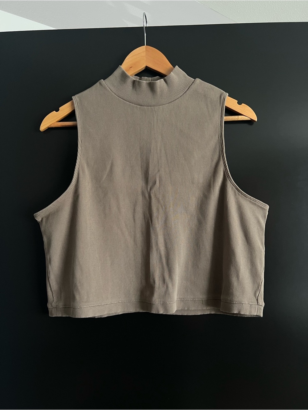 Everlane Sleeveless Mock Neck Tank in Taupe